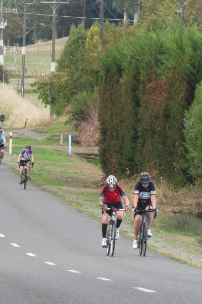 Pedal 4 Pleasure