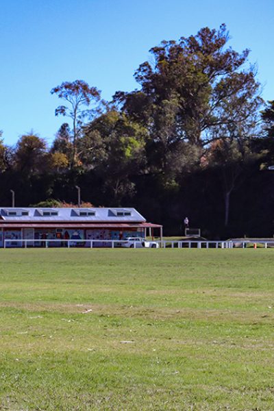 Bulls Domain