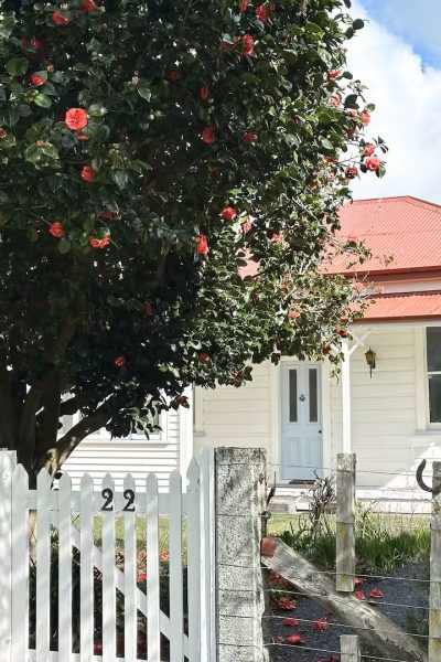 Country comfort Rangitikei