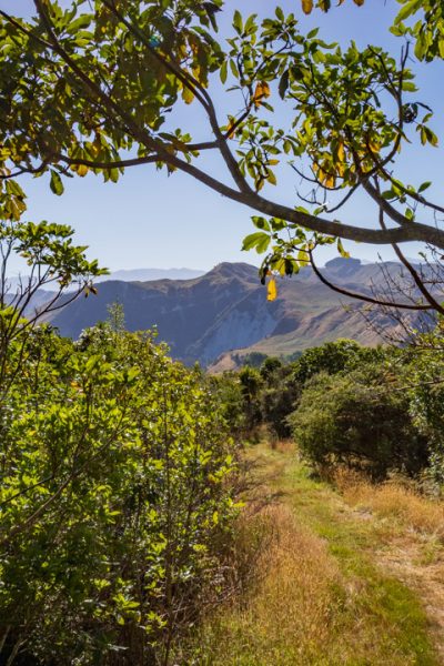 Mangaweka Scenic Reserve