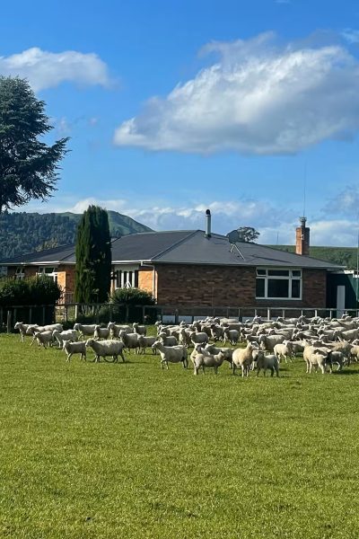 River farm retreat