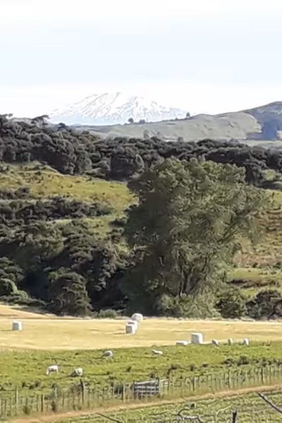The sheep’s retreat farmstay