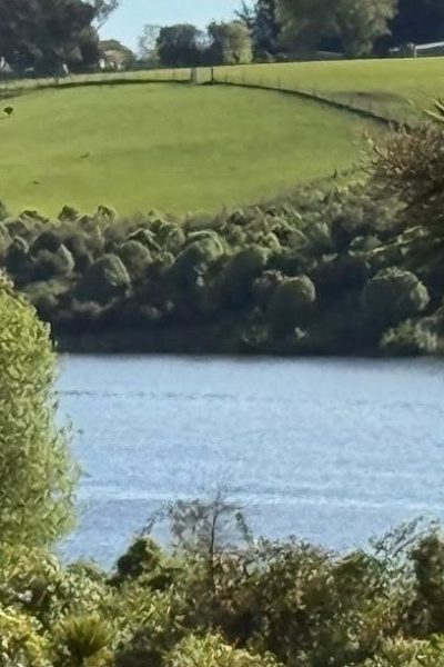 Tutaenui Reservoir - walkway