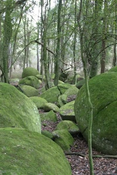 Whitecliffs Boulders