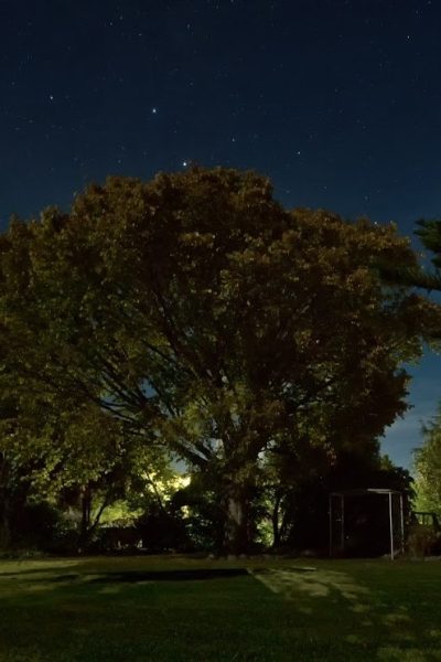 Lancewood Lodge