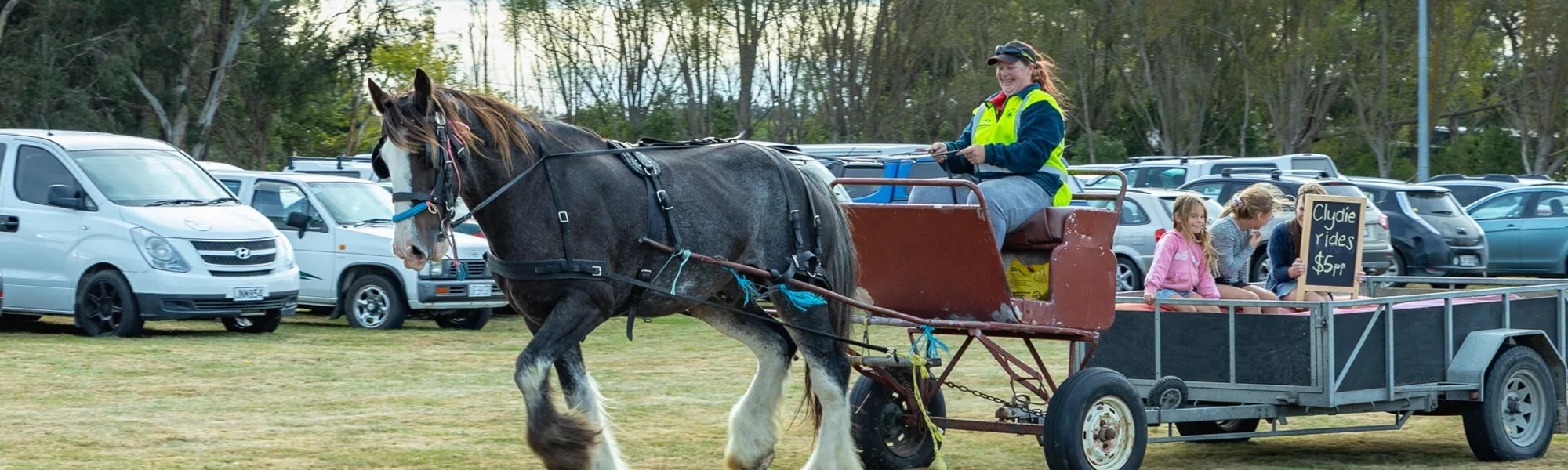 Harvest festival horse