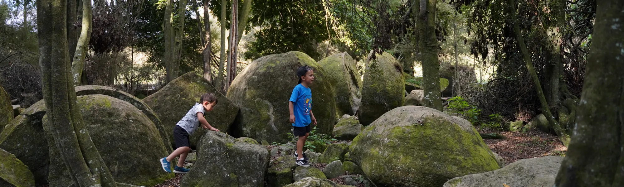 Home slider boulders
