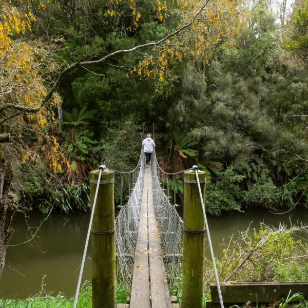 Swing bridge paengaroa