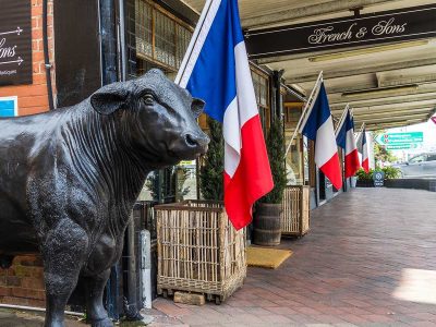 French and Sons Bulls