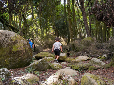 Loverangitikei boulders