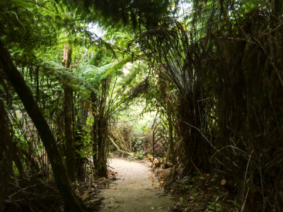 Loverangitikei bushwalks