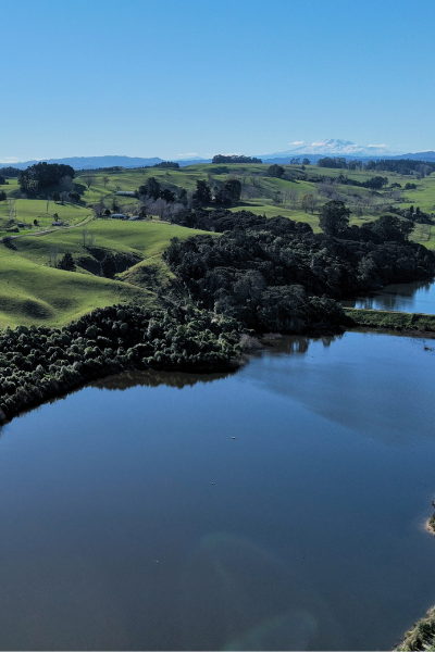 Discover Tūtaenui Reserve