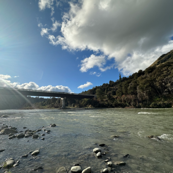 Worthpulling over mangaweka