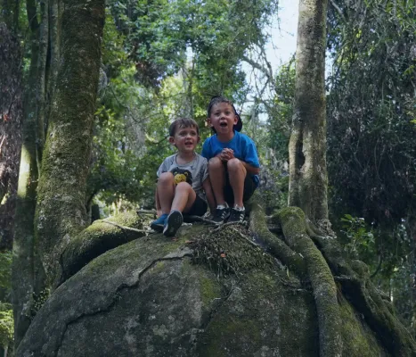 Whitecliff boulders