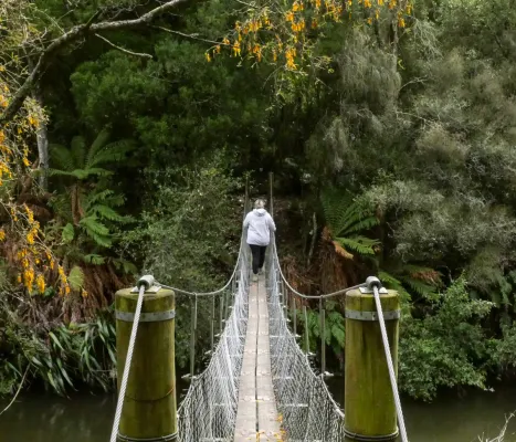 Parks swing bridge