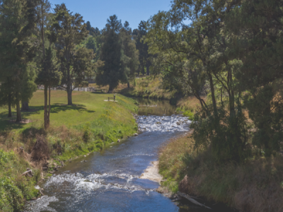 Taihape images3